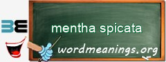 WordMeaning blackboard for mentha spicata